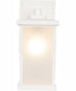 Resilience Lanterns 1-Light Outdoor Wall Lantern Matte White