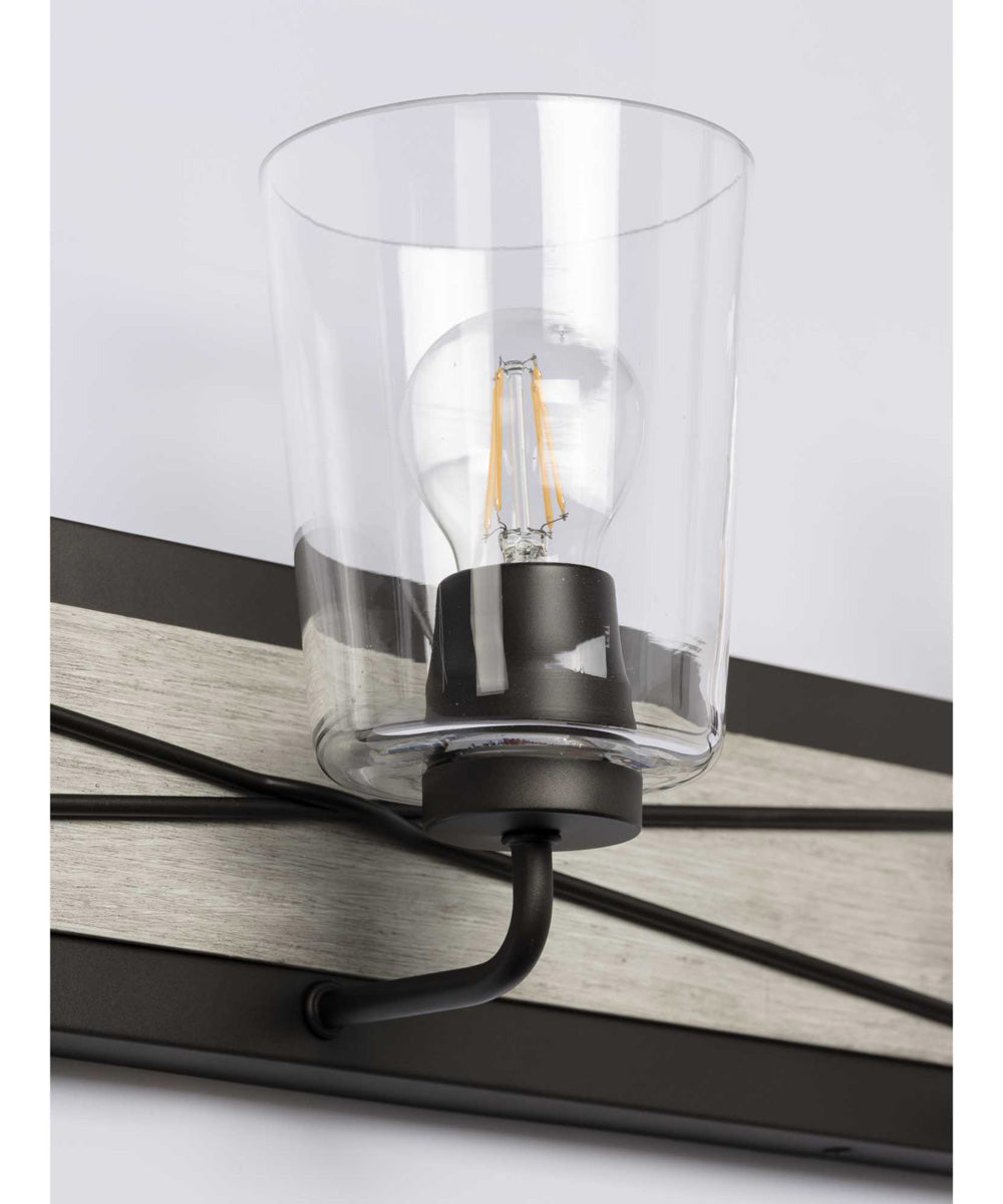 Briarwood 3-Light Clear Glass Coastal Bath Vanity Light Graphite