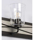 Briarwood 3-Light Clear Glass Coastal Bath Vanity Light Graphite