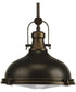 Fresnel Lens 1-Light Fresnel Glass Coastal Pendant Light Oil Rubbed Bronze