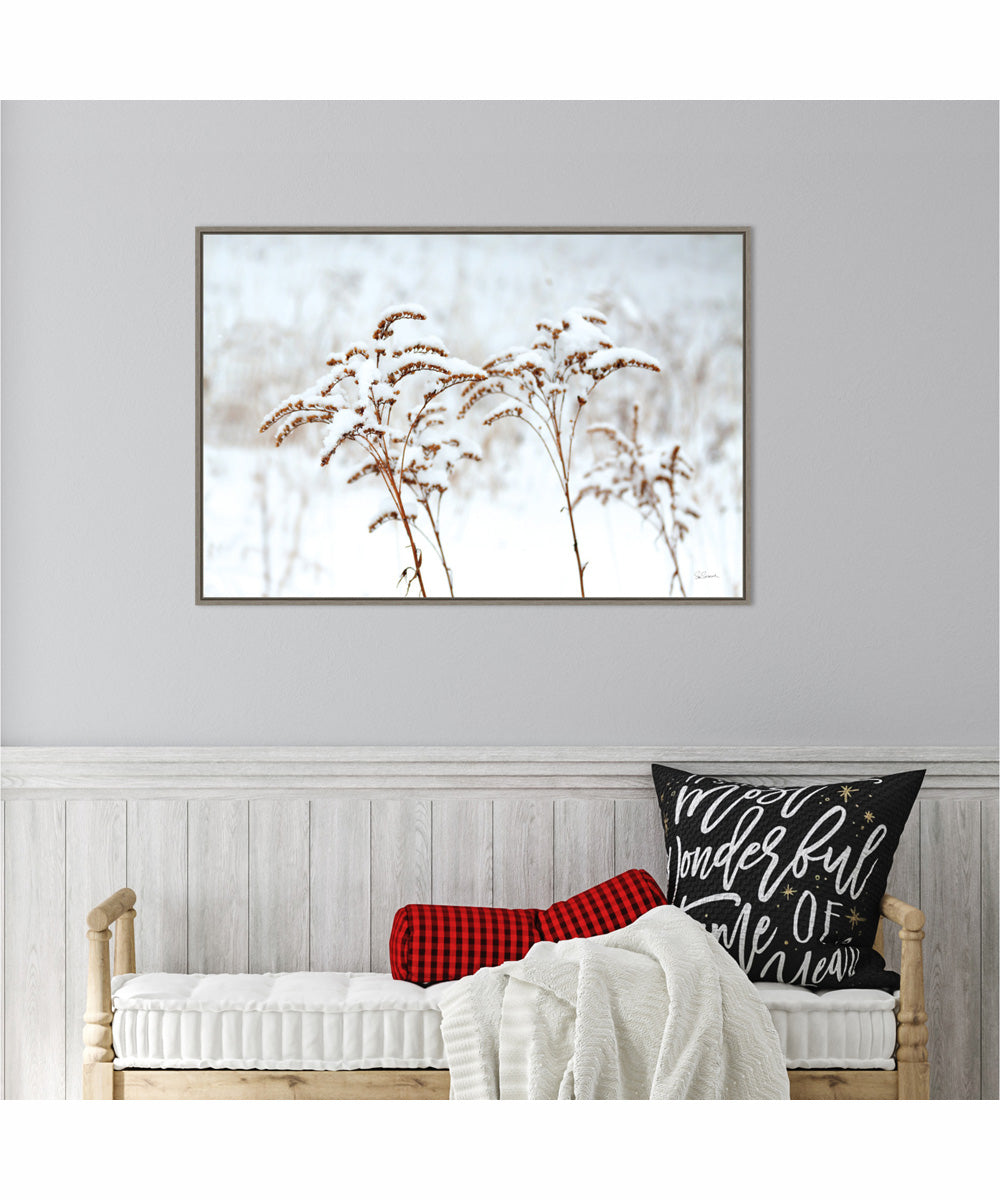 Framed Snowy Gardens by Sue Schlabach Canvas Wall Art Print (33  W x 23  H), Sylvie Greywash Frame