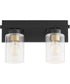 Carter 2-light Bath Vanity Light Matte Black