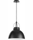 1-light Pendant Matte Black