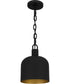 Quoizel Piccolo Pendant Small 1-light Mini Pendant Matte Black