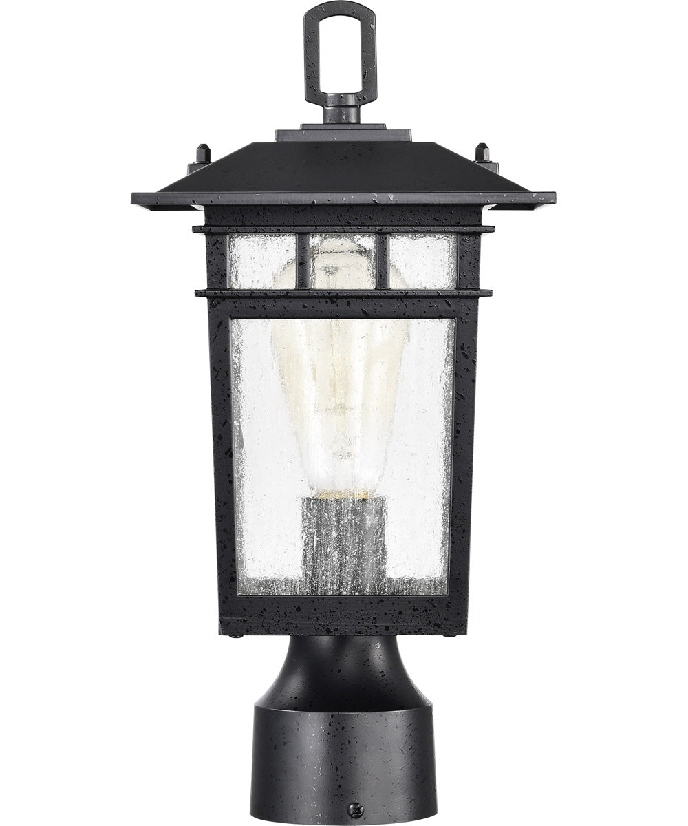 Cove Neck 1-Light Outdoor Textured Black