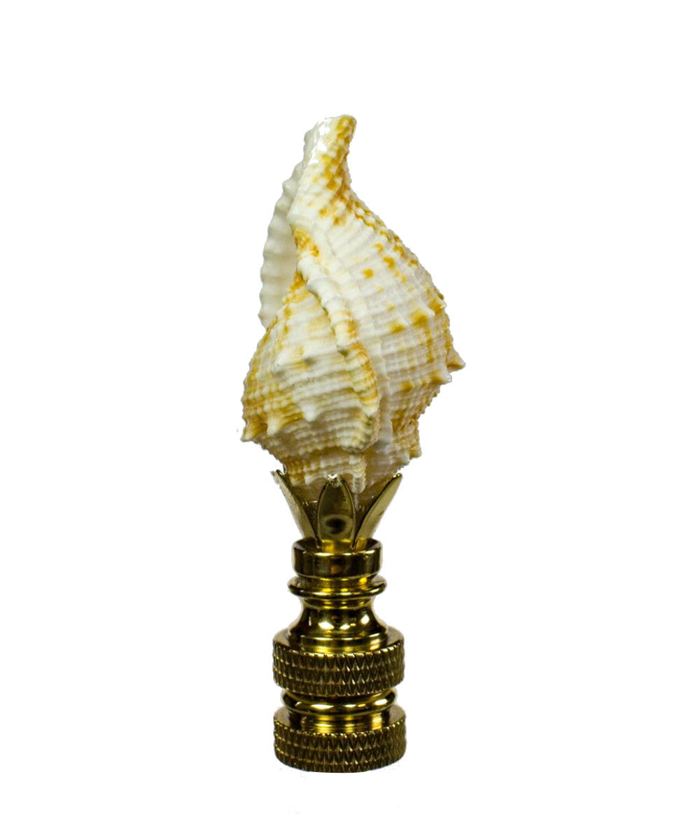 Bursa Sea Shell Lamp Finial with Polished Brass Base 2.25"h