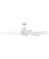 Champion 1-Light Indoor/Outdoor Specialty Ceiling Fan (Blades Included) Matte White