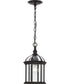 Dillard 1-Light Traditional Clear Glass Outdoor Hanging Light Antique Bronze