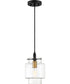 Naomi Small 1-light Mini Pendant Earth Black