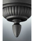 Westport 1-Light Medium Wall Lantern Textured Black