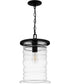 Noland Large 1-light Outdoor Pendant Light  Coastal Armour Aluminum Matte Black