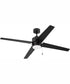 52" Terie 1-Light Ceiling Fan Flat Black