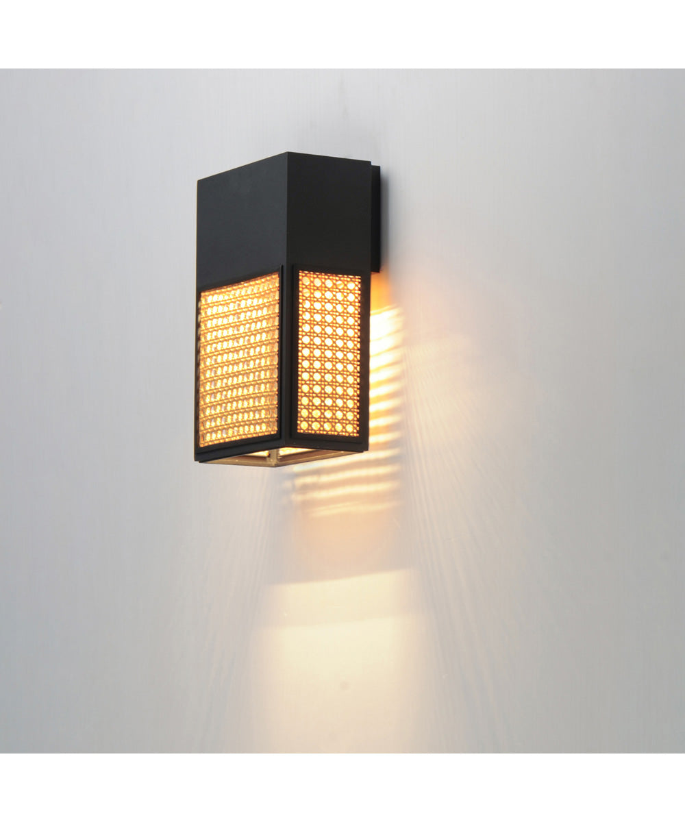 Lattice 12 inch LED Outdoor Sconce Dark Sky Black