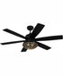52" Rugged 2-Light Indoor/Outdoor Ceiling Fan Flat Black/Satin Brass