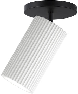 Pleat Adjustable Flush/Wall Mount White / Black