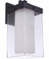 Hayner 1-Light Outdoor Wall Lantern Midnight