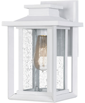Wakefield Small 1-light Outdoor Wall Light White Lustre