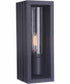 Carmel 1-Light Outdoor Wall Lantern Matte Black