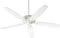 Ceiling Fans with Remotes
