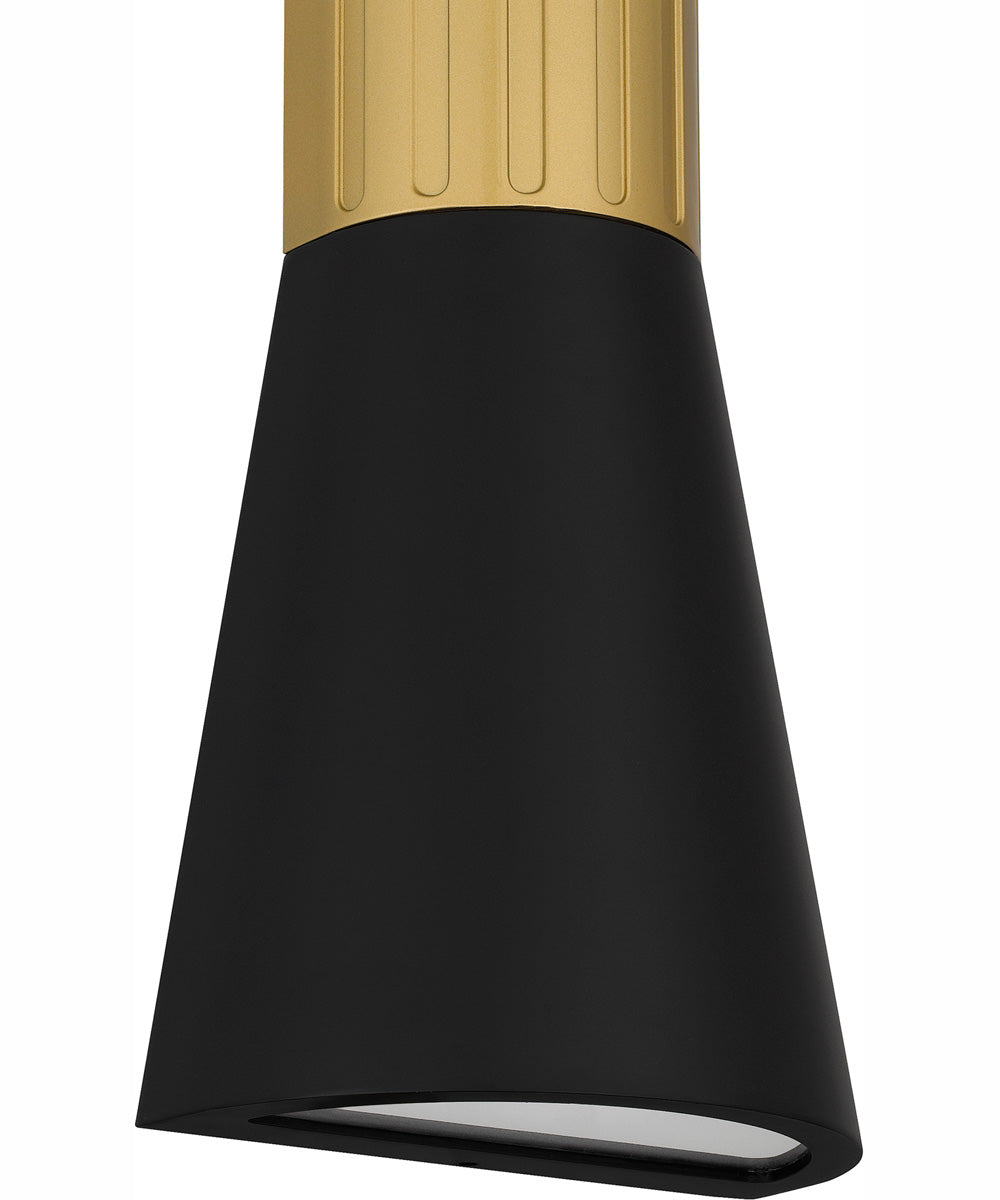 Dexter Large Outdoor Wall Light  Coastal Armour Aluminum Matte Black