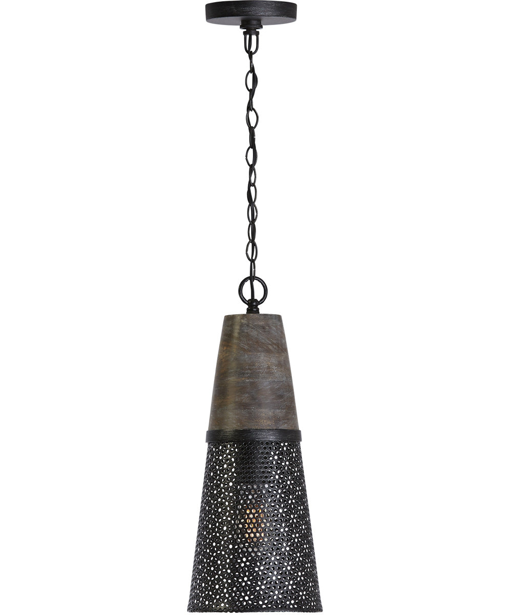1-Light Pendant In Barn House