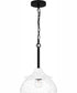 Otten 1-light Mini Pendant Matte Black