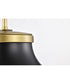 Lafayette 1-Light Pendant Matte Black