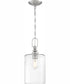 Dardyn 1-Light Mini Pendant Brushed Polished Nickel