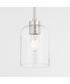 Tribute 1-light Pendant Satin Nickel