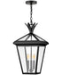 Palma 3-Light Large Outdoor Hanging Lantern in Black