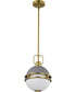 Everton 1-Light Pendant Matte Gray