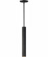 Reeds 1-Light LED Pendant - Stem Hung Black