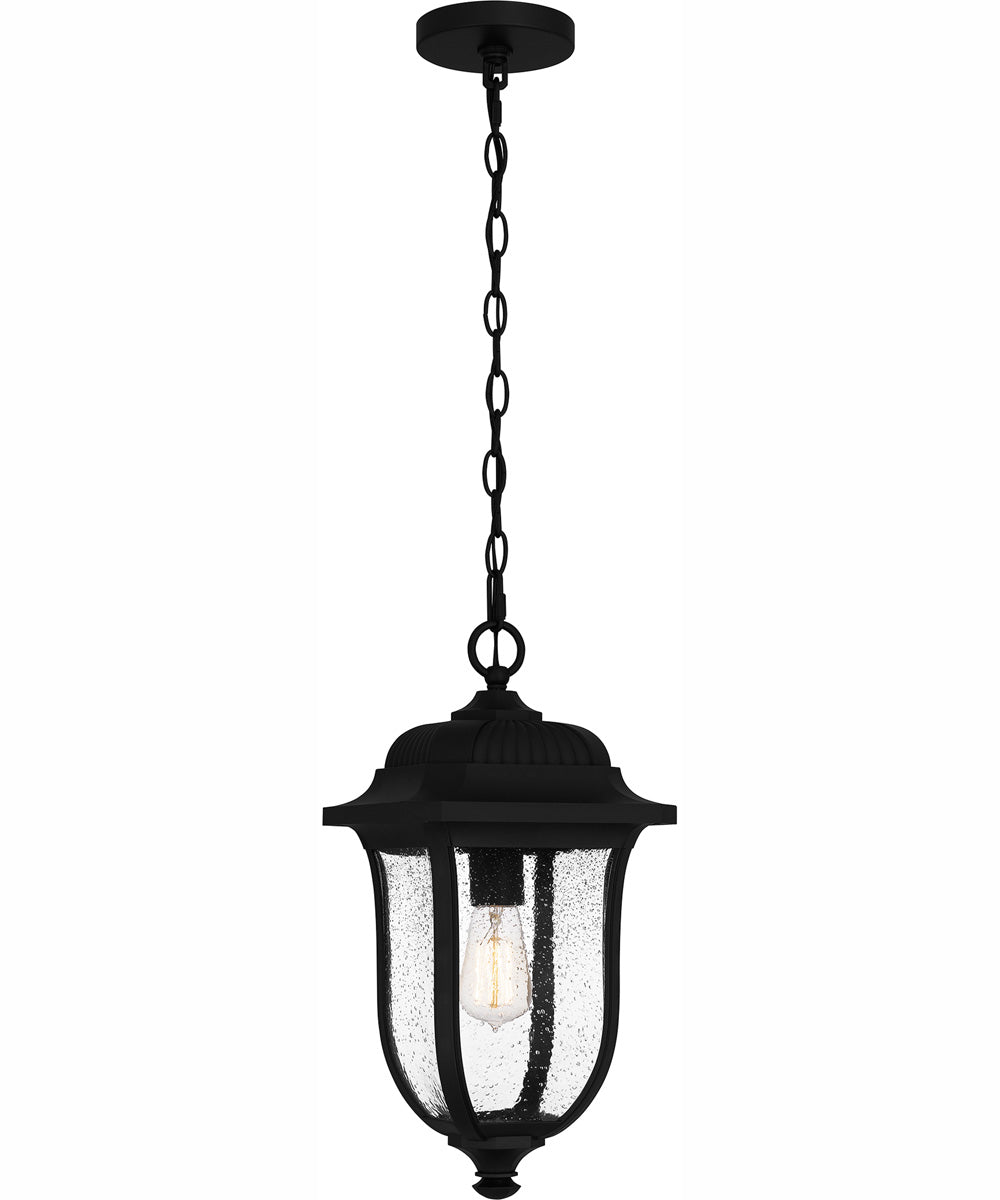Mulberry Large 1-light Outdoor Pendant Light  Coastal Armour Matte Black