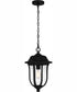 Mulberry Large 1-light Outdoor Pendant Light  Coastal Armour Matte Black