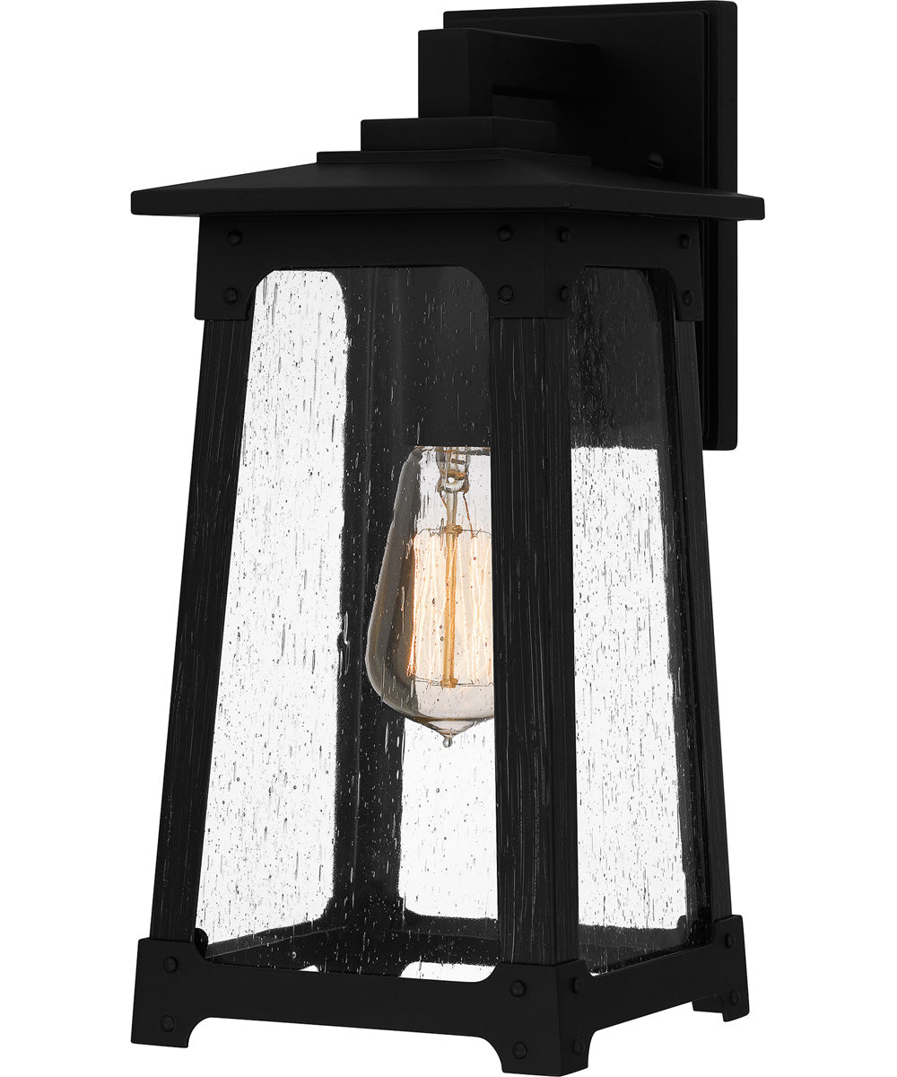 Drescher Medium 1-light Outdoor Wall Light  Coastal Armour Aluminum Matte Black