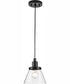 Hinton 1-Light Brushed Nickel Modern Farmhouse Pendant Matte Black