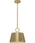 Parkhurst 1-Light New Traditional Metal Pendant Light Brushed Bronze