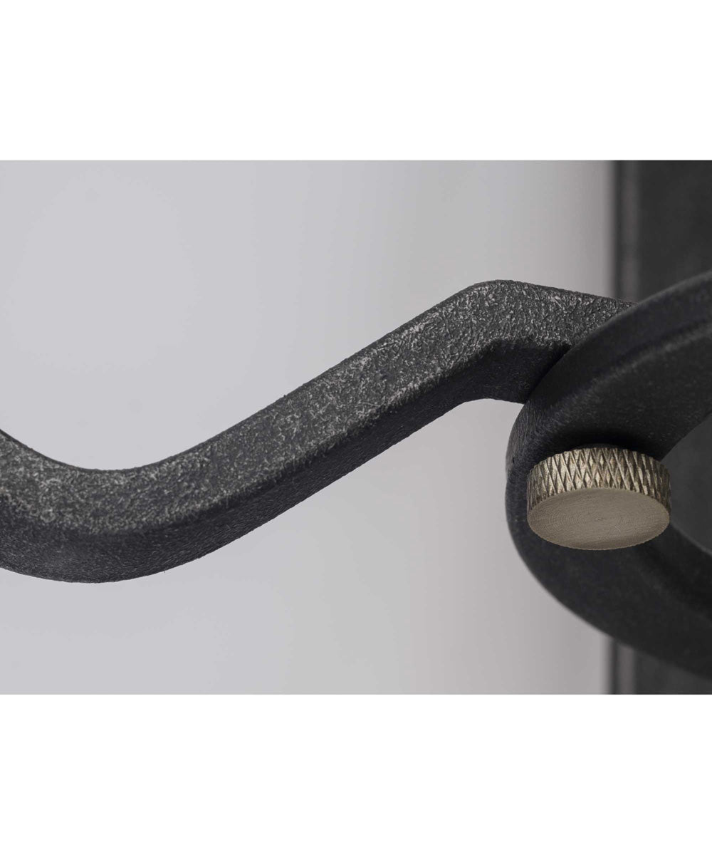 Foster 1-Light Farmhouse Mini-Pendant Light Gilded Iron