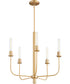 Sheridan 5-light Chandelier Aged Brass