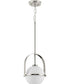 Delayne 1-Light Mid-Century Modern Etched Opal Glass Pendant Light Brushed Nickel