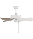 ceiling fan