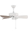 Ceiling Fans and Accessories