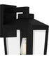 Blomfield Large 1-light Outdoor Wall Light Matte Black