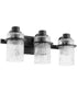 Lazo 3-light Bath Vanity Light Textured Black