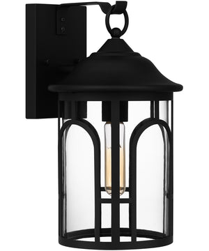 Brampton Medium 1-light Outdoor Wall Light  Coastal Armour Aluminum Matte Black