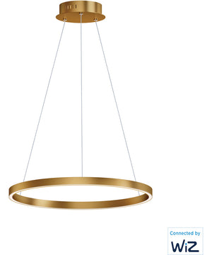 Groove 24 inch LED Pendant WiZ Gold