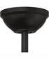56" Nash 4-Light Indoor/Outdoor Ceiling Fan Flat Black