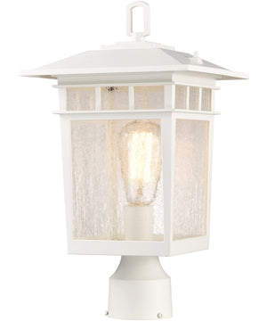 Cove Neck 1-Light Outdoor White