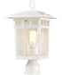 Cove Neck 1-Light Outdoor White