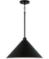 Alden 1-Light Pendant Matte Black